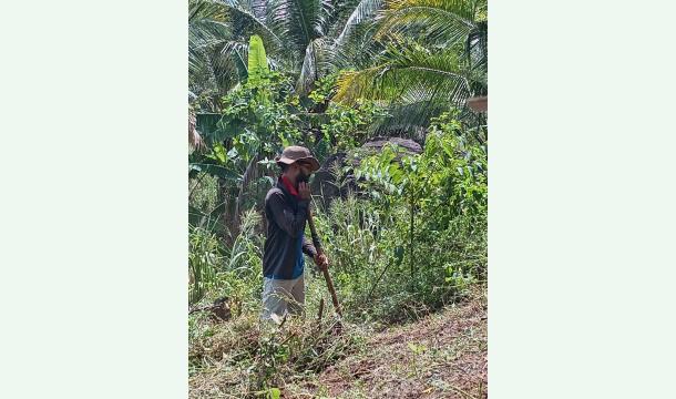 Cover "Support Farming, Feed the Nation"