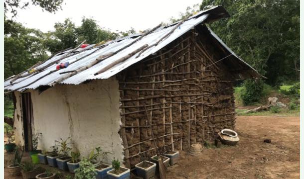 Cover 🙏 we can give them a home.