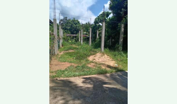 Cover Build a my house.