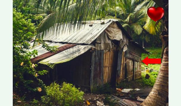 Cover Help us build a new house 