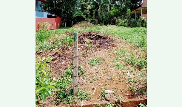 Cover Purchasing a plot of land 