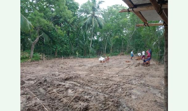 Cover build my own home 