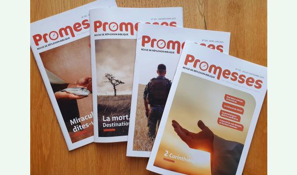 Cover Projets Promesses