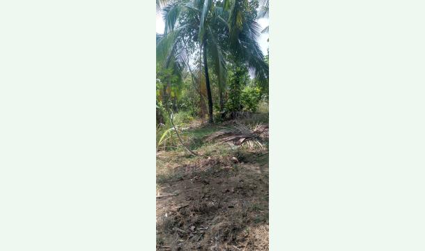 Cover To buy land to build a new house