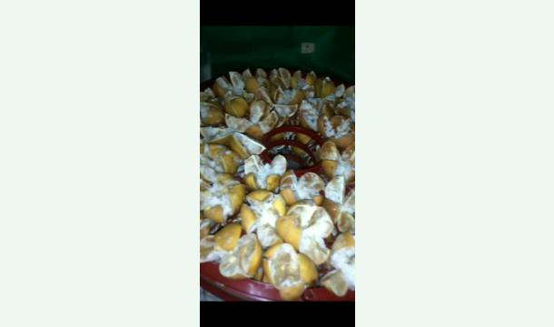 Cover Support needed for small food dehydration business.