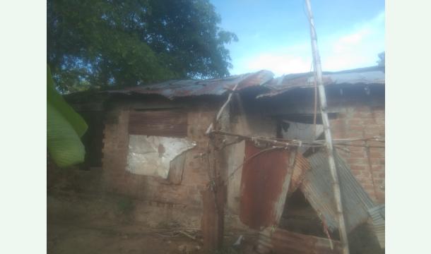 Cover Making the house