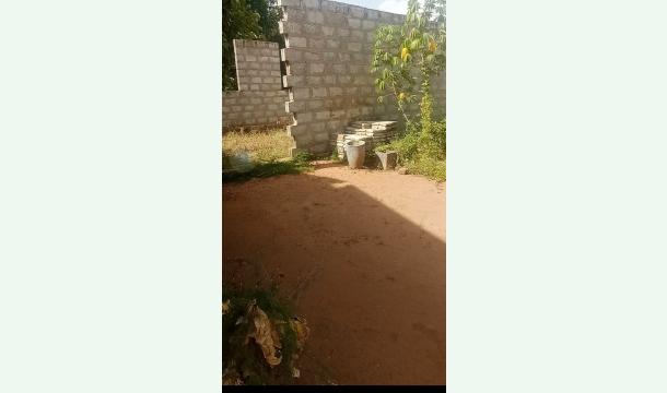 Cover Build my house