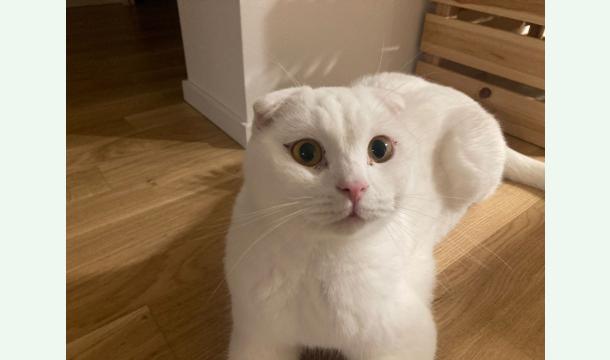 Cover Bitte helft Casper – er braucht eure Unterstützung