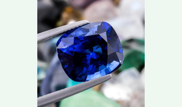 Cover Support Our Gem Venture"