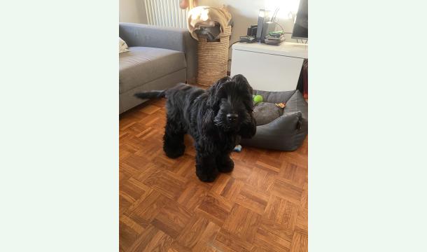 Cover Frai vétérinaire 