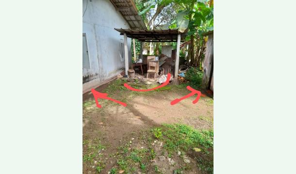 Cover My house repair 