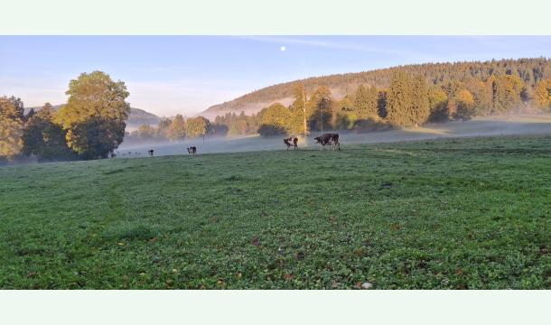 Cover Soutien à Alfred et sa ferme
