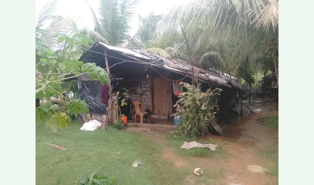 Cover Help me build my house