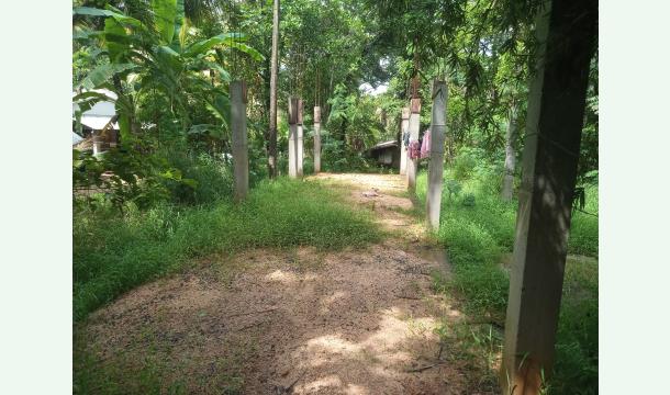 Cover To make a home