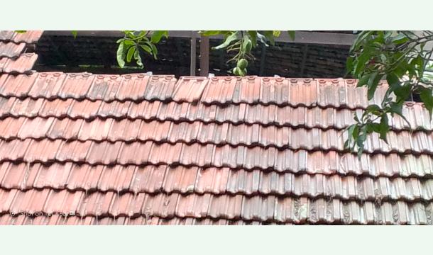 Cover Complete Old House Renovation Guide | Transform Your Home from Old to New