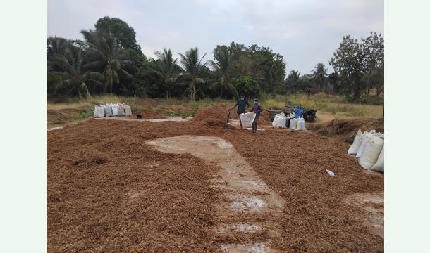 Cover Support My Coconut Inflorescence Business – Help Us Buy Processing Machines