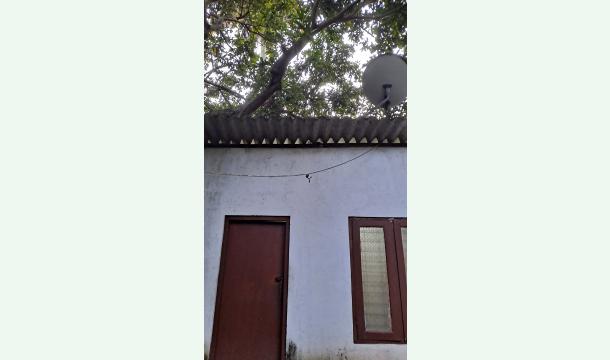 Cover Seeking assistance to buy a house