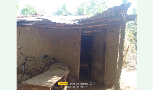 Cover Making a crumbling, scratchy home