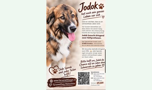Cover Jodok braucht eure Hilfe