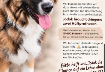 Jodok braucht eure Hilfe