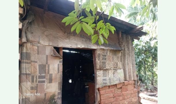 Cover Thushara wishwajith