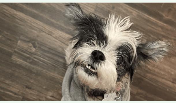 Cover Pat’s last wish