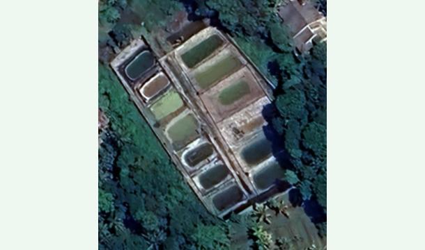 Cover Support Luma Aquapets – Expanding Sri Lanka’s Ornamental Fish Farm