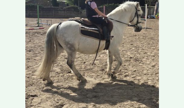 Cover Permettre à mes deux filles de continuer leur passion de l'équitation