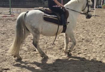 Permettre à mes deux filles de continuer leur passion de l'équitation