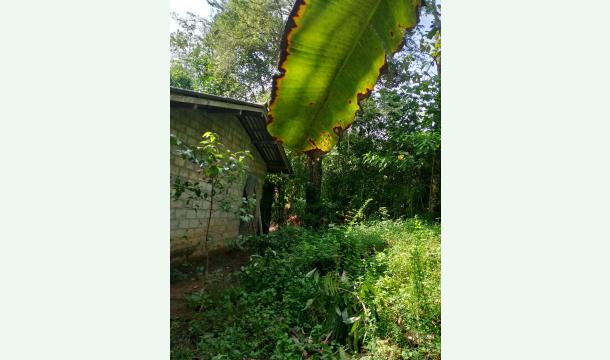 Cover Repair my house 