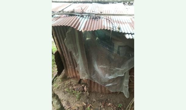 Cover A Safe Home for Our Family