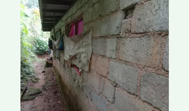 Cover Please help me renovate my house.