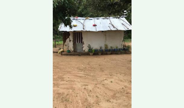 Cover Everyone help me build my house.