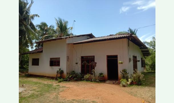 Cover "Join Us in Rebuilding Our Family Home"