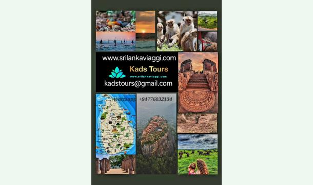 Cover Buy Vehicle For Tour Guiding 