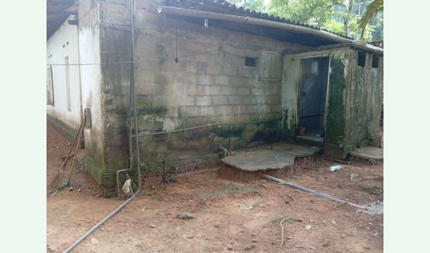 Cover Mage biththiya abalan vi yama nisa