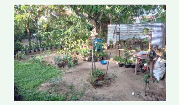 Cover It's about rebuilding my business