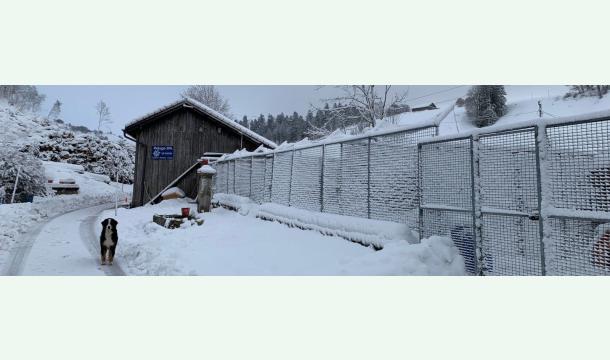 Cover Sauvons la Société Protectrice des Animaux du Locle