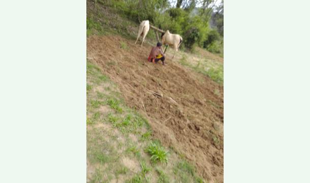 Cover For cultivation in my farm