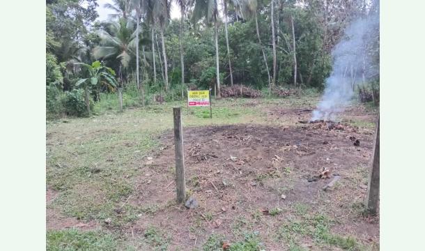 Cover To build a house