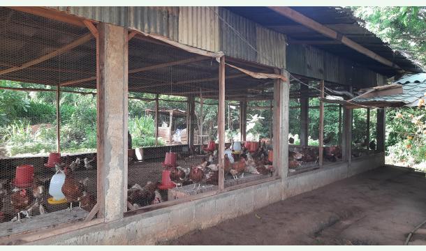 Cover Starting a business to eradicate poverty