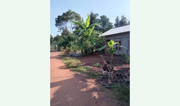 Cover I dont have house.pz help me bild my home.