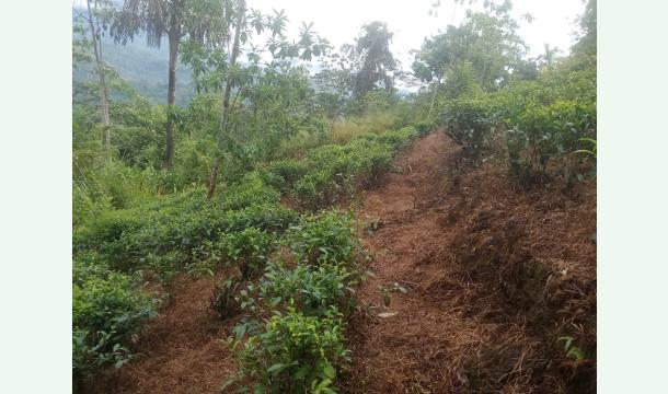 Cover To purchase a land.