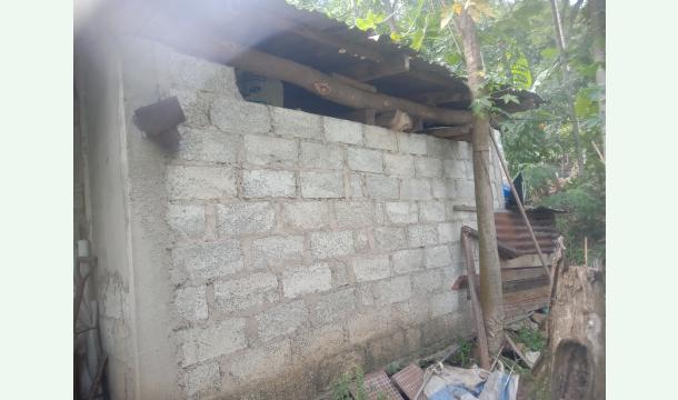 Cover Help us build a new house.