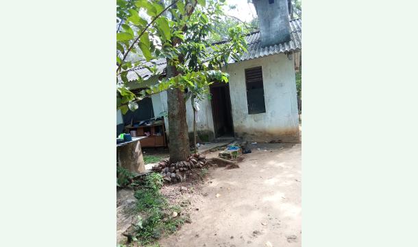 Cover the rental house i live in is being renowned .