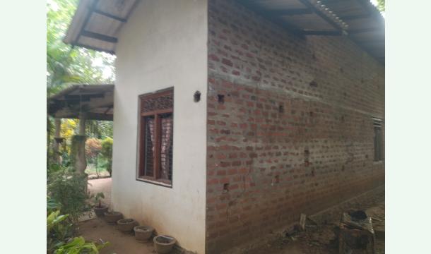 Cover Please help me build a small house.