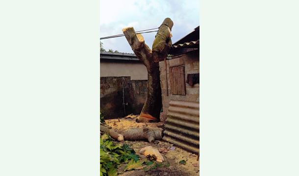 Cover I am looking for help to save my house from foreclosure.