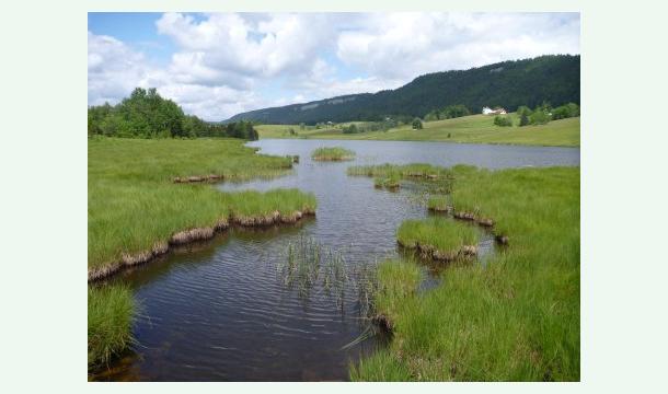 Cover Préservation des tourbières en France - Erhaltung von Mooren in Frankreich - Peatland Preservation in France