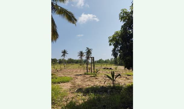 Cover Help a Sri Lankan Farmer Build His Dream Orchard and Support His Family