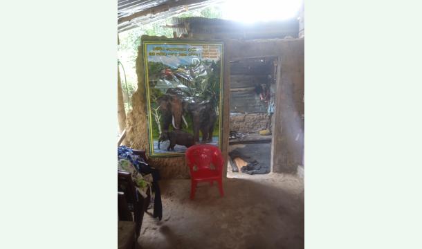 Cover Please help us build a house for the poor